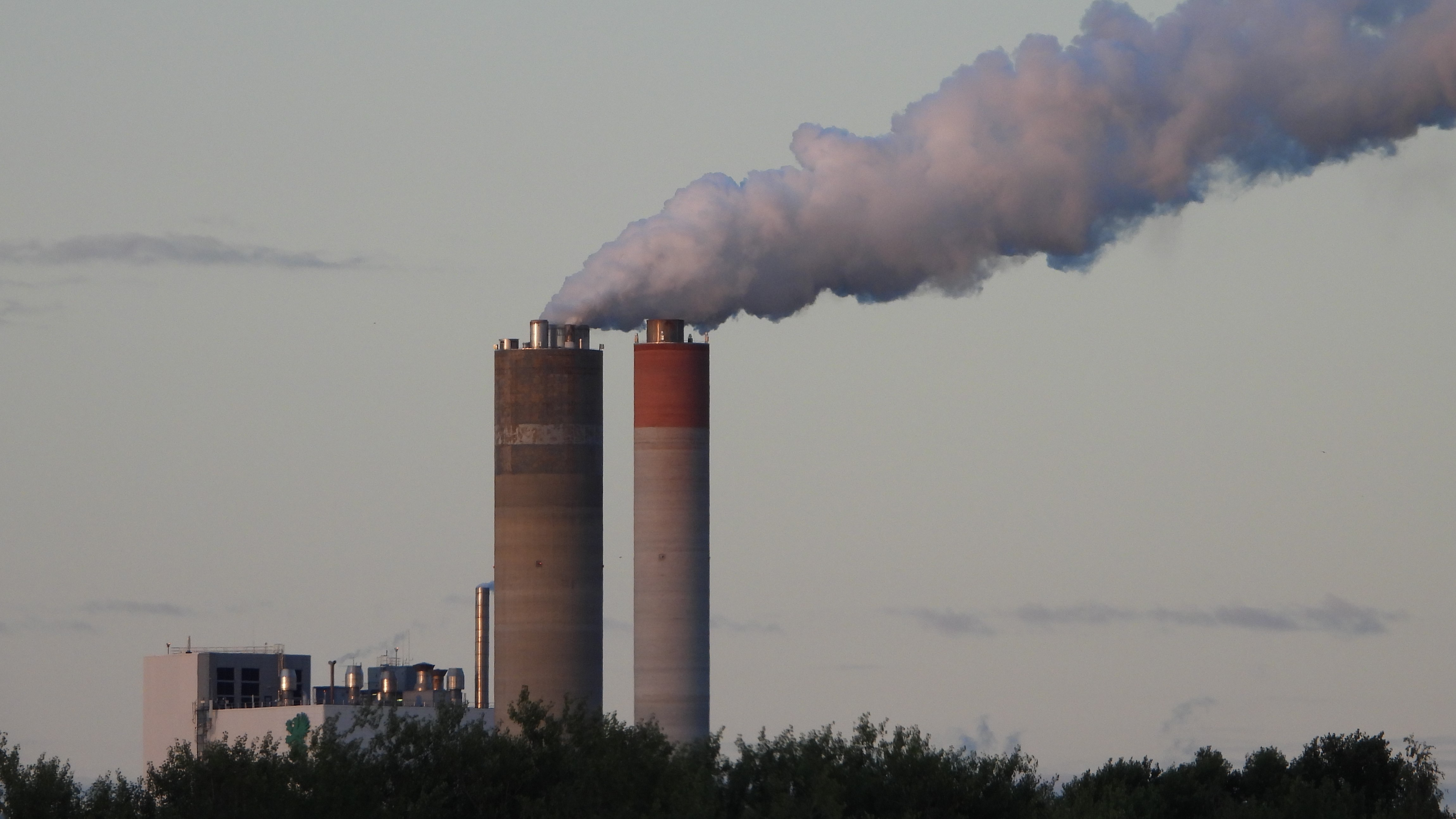 Finland – major forest industries company UPM scraps collective bargaining entirely